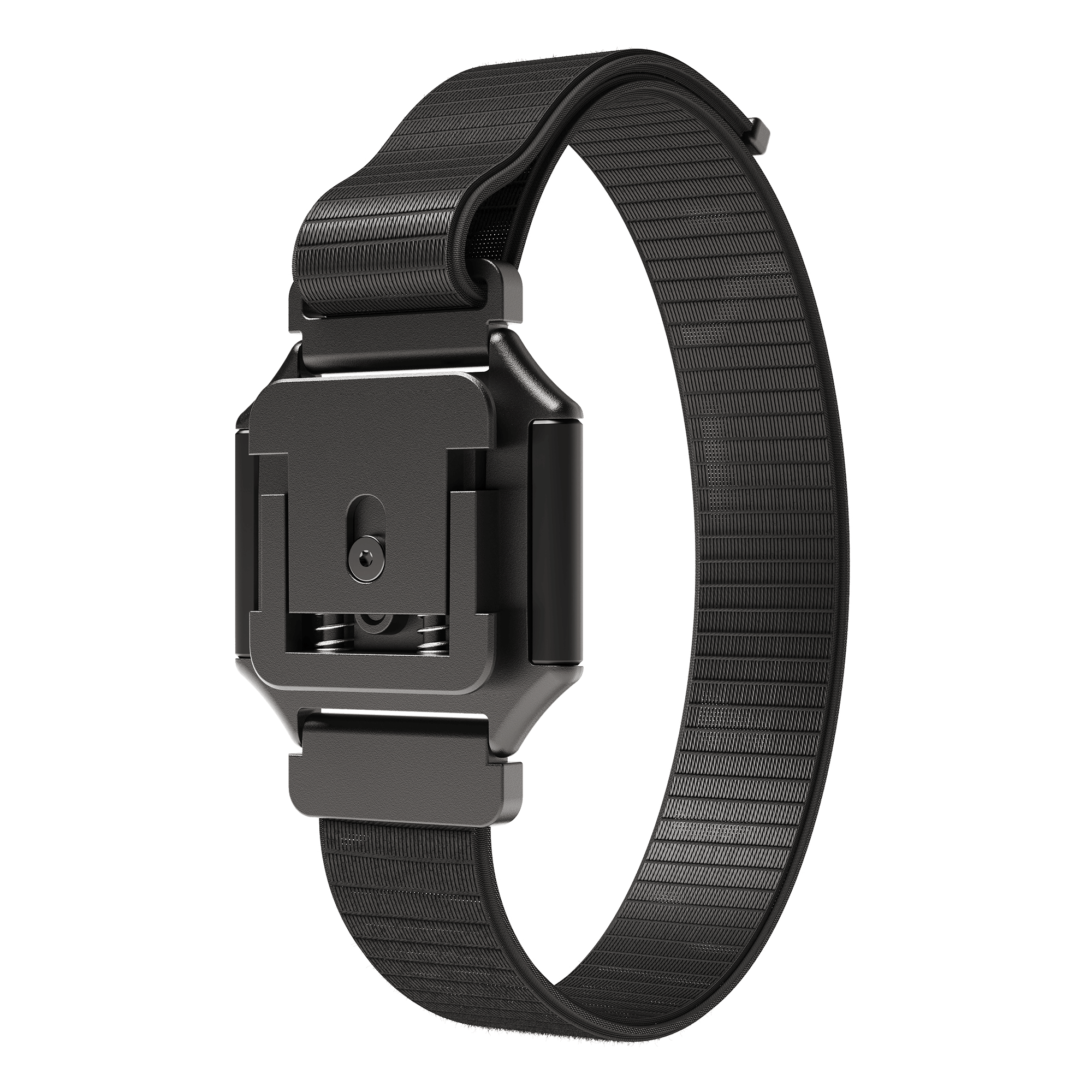 Strap Mount
