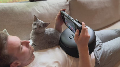 Gaming Pillow